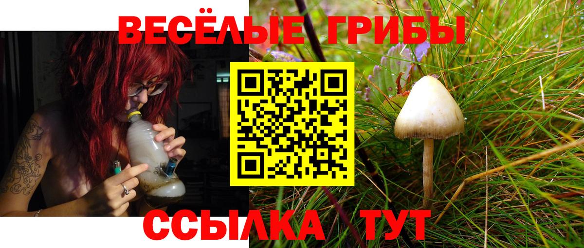 Псилоцибиновые грибы мухоморы Новосибирск