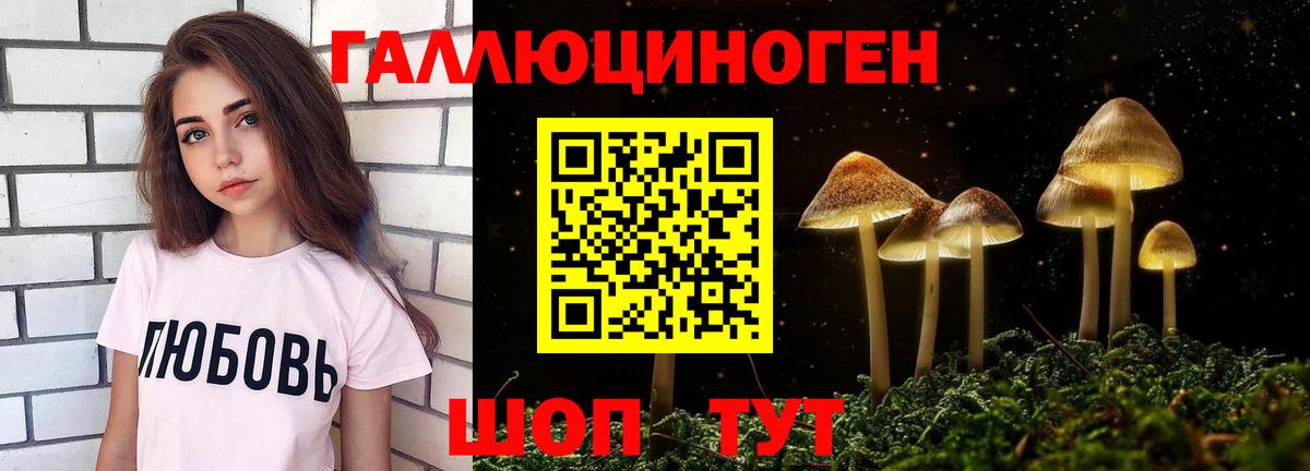 Псилоцибиновые грибы Magic Shrooms  Галлюциногенные грибы Psilocybe  Новосибирск  Вход с VPN 